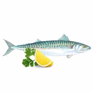 Fish Mackreal