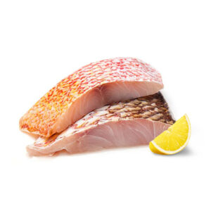 Snapper