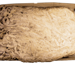 Intestine