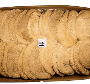 Honeycomb