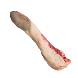 Tongue