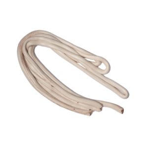 Spinal Cord